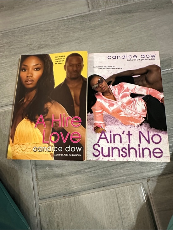 Candice Dow Other - 2 GREAT BOOKS by Candice Dow A Hire Love -& Ain’t No Sunshine by Candice Dow